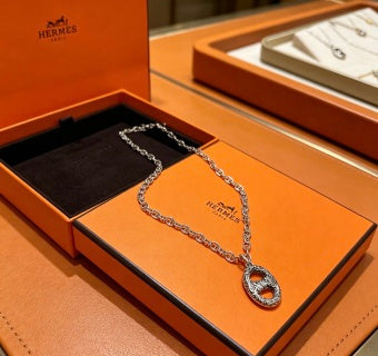 Hermès Heritage Horse Medallion Chain Necklace